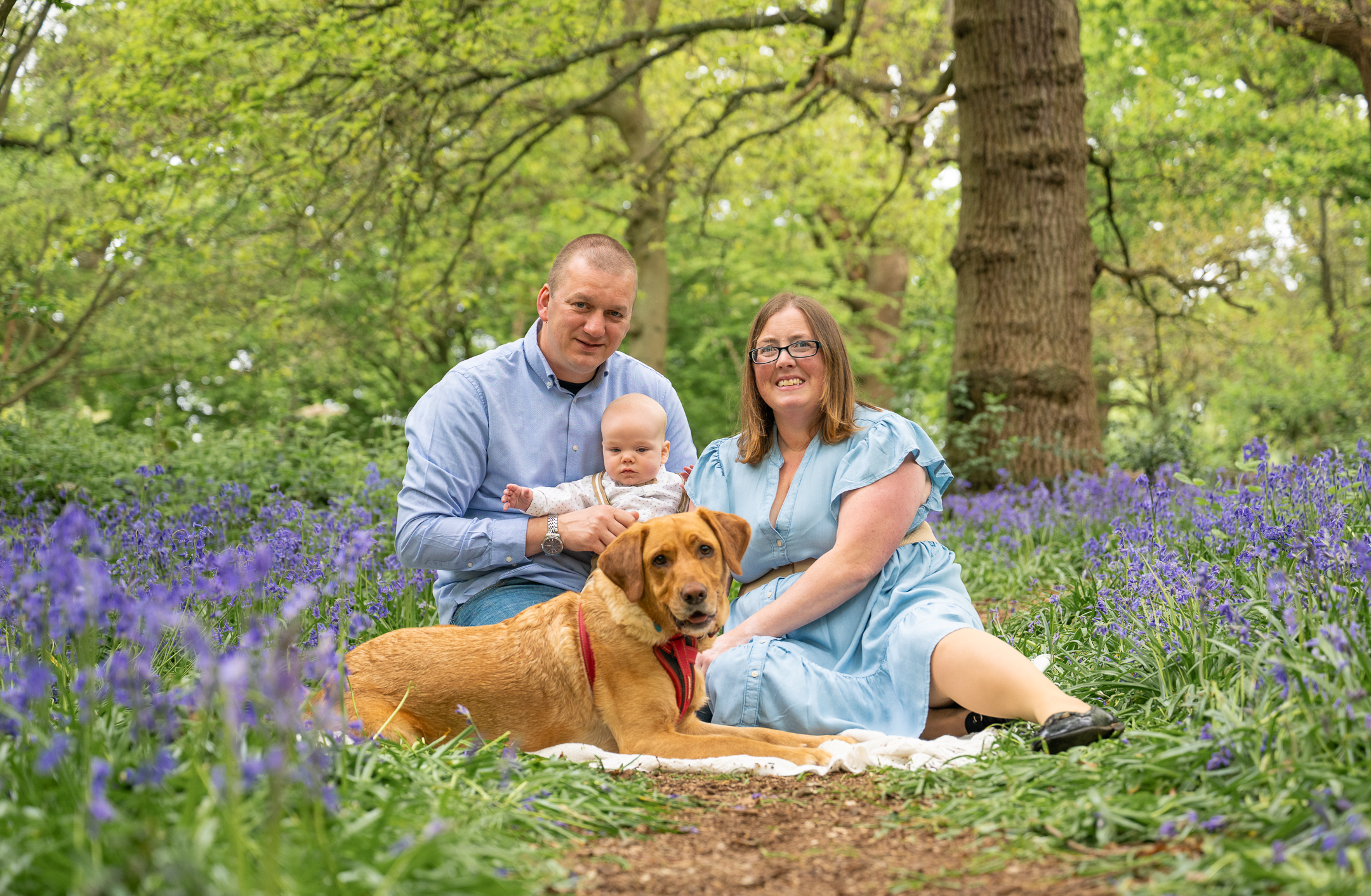 Family with dog amongst the bluebells, photographed by Mike Silver