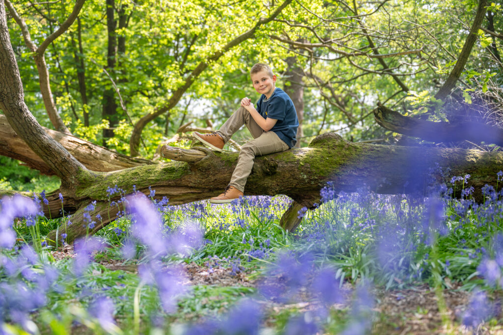 Boy sitting on a fallen tree
